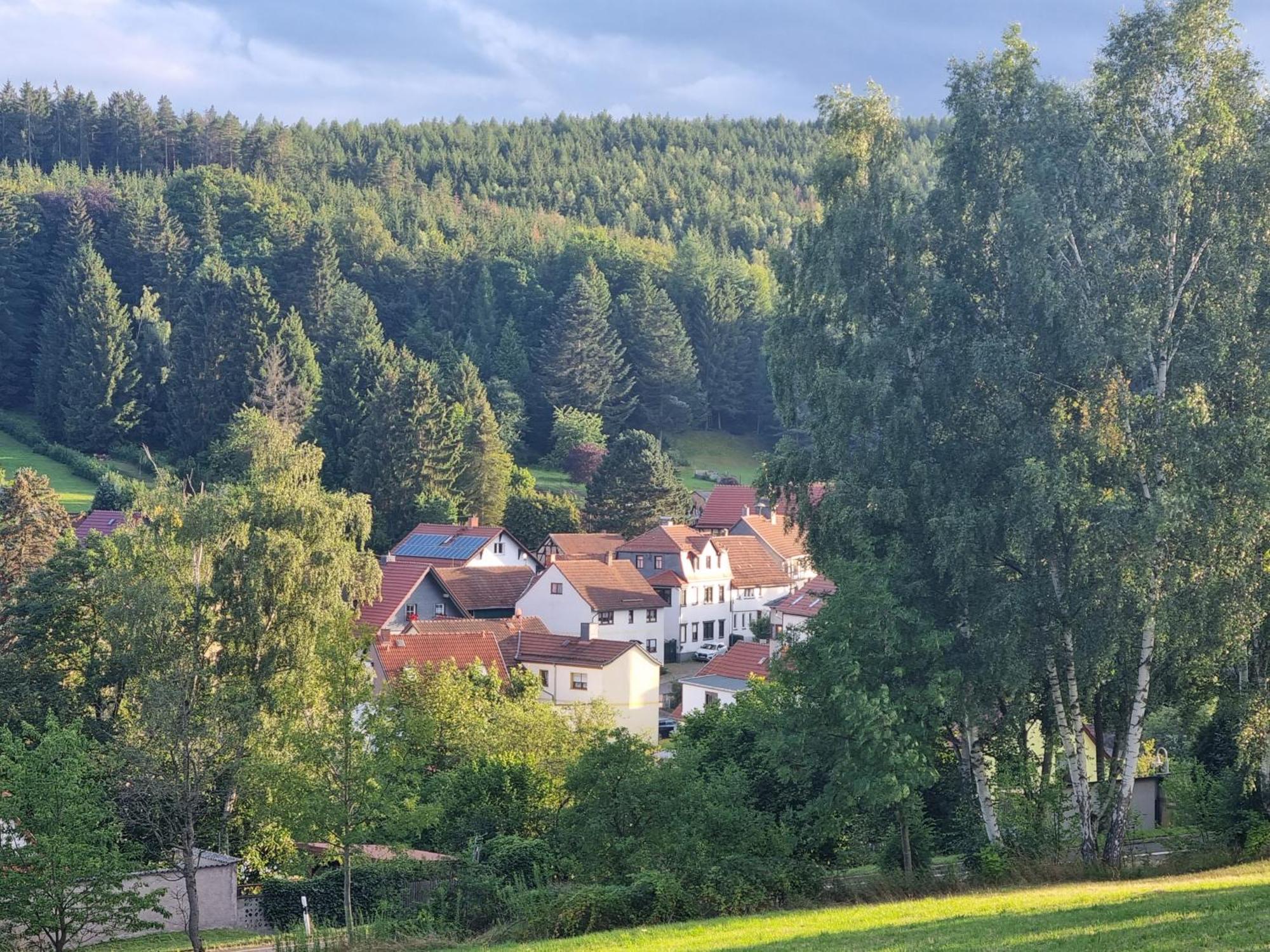 Superior - Ferienhaus Am Engelsbach Im Thueringer Wald Ngoại thất bức ảnh